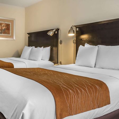 Comfort Inn & Suites Laguardia Airport New York Ngoại thất bức ảnh