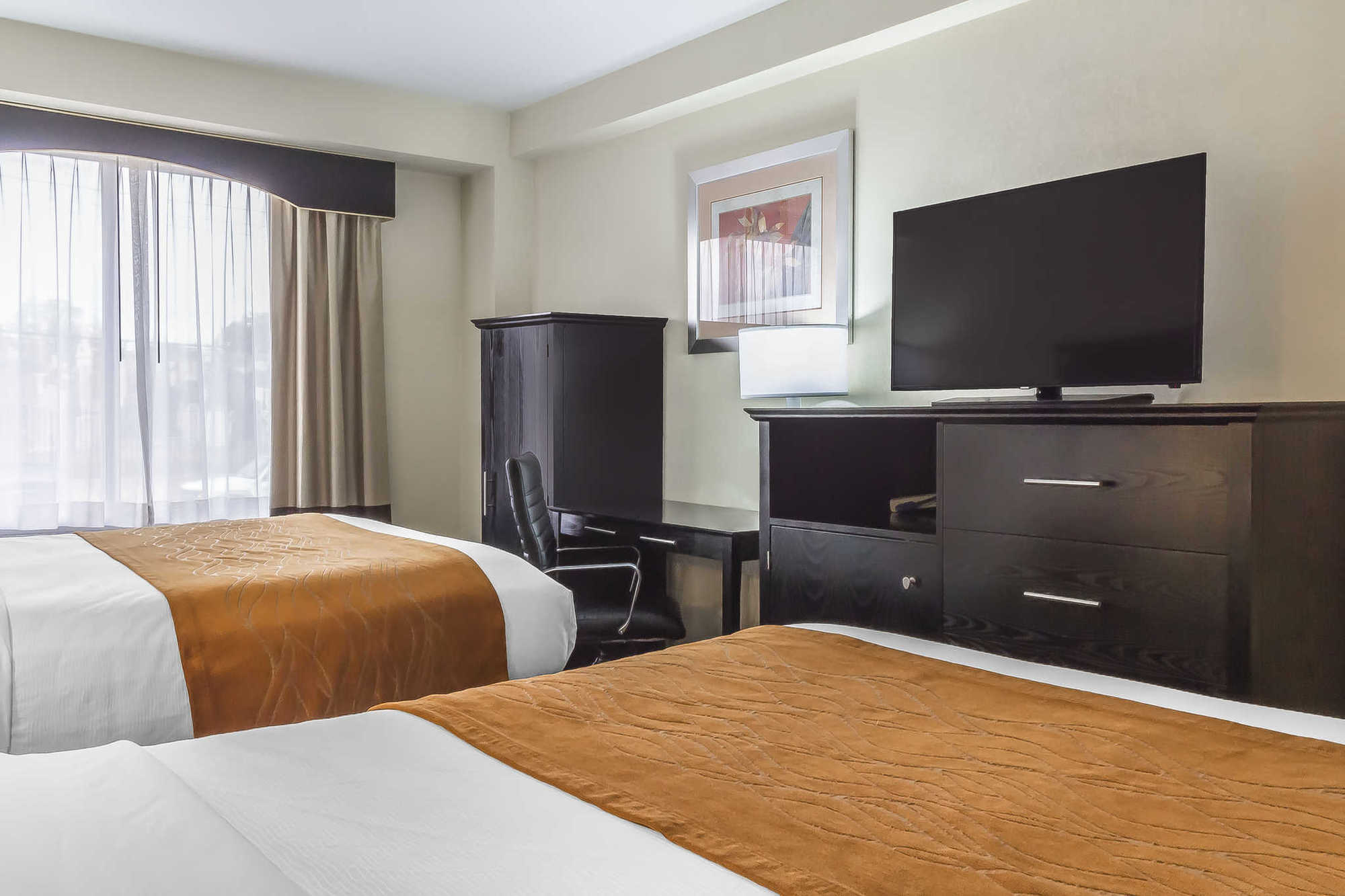 Comfort Inn & Suites Laguardia Airport New York Phòng bức ảnh